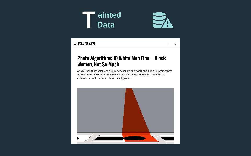 Ai Impact Risk Tainted Data Black Women