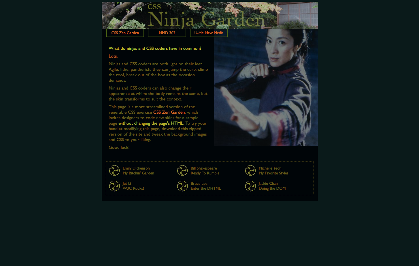 Css Ninja Screenshots 1