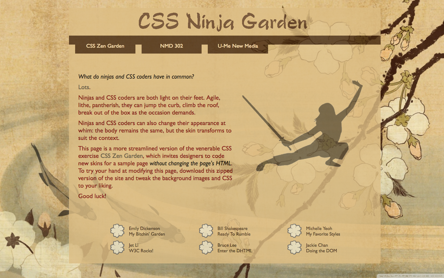 Css Ninja Screenshots 4