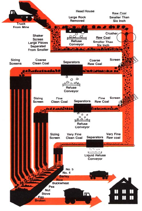 Schematic Coal Diagram