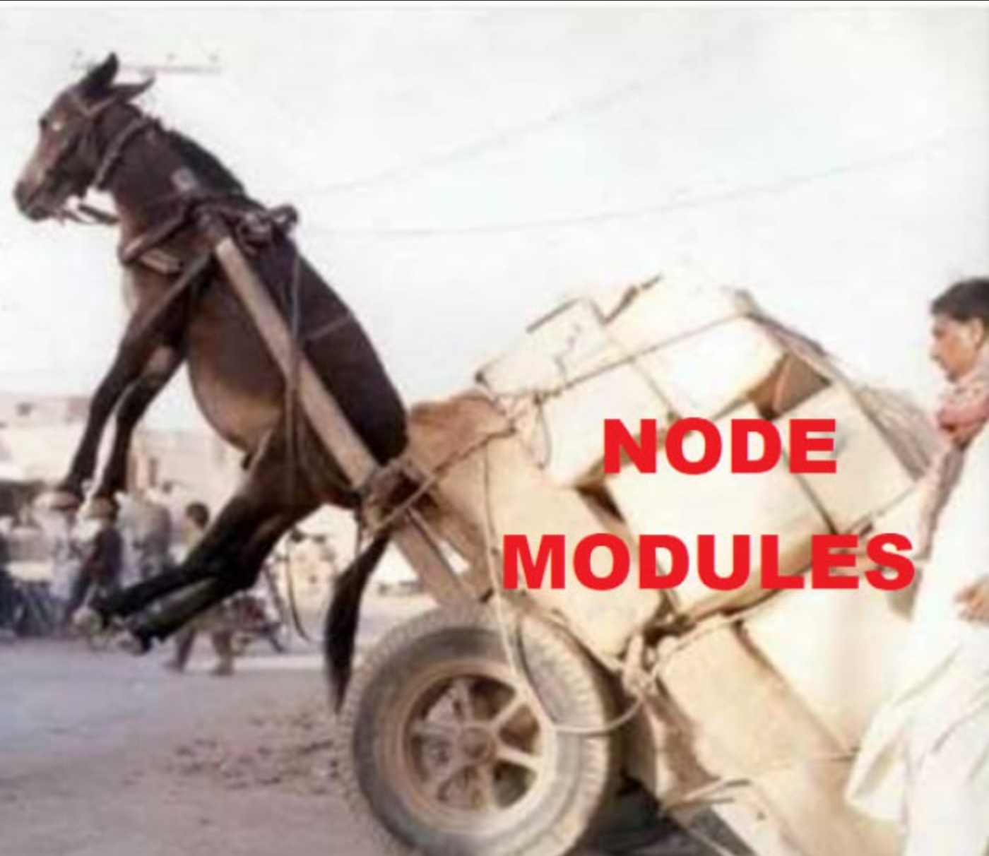 Meme Node Modules 04