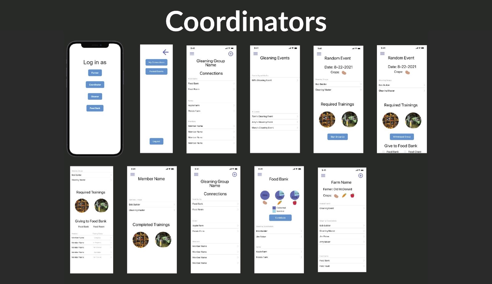Dasilva Story Gleaning Ux Coordinator Storyboard