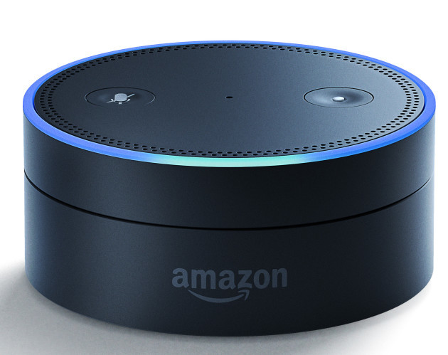 Amazon Alexa Echo Home Assistant